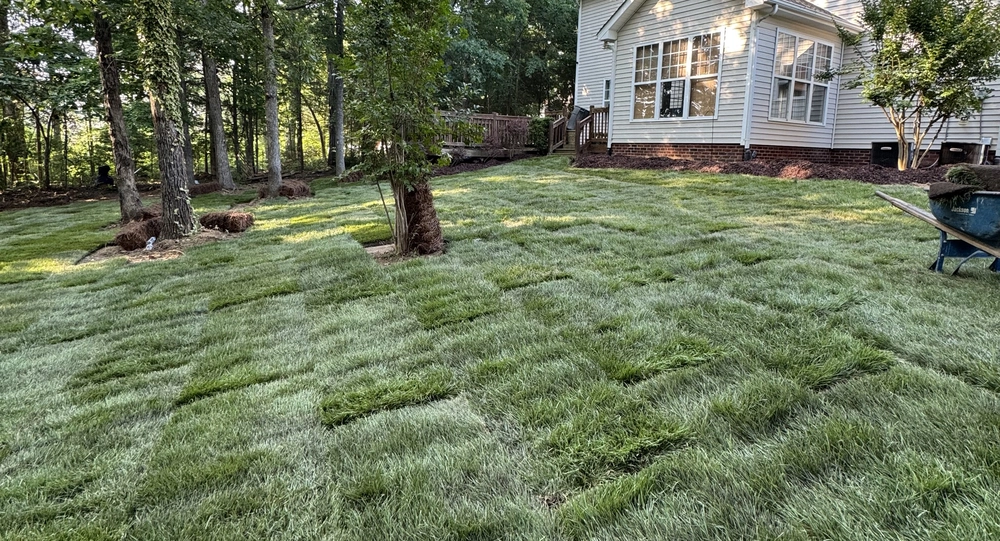 Sod Installation