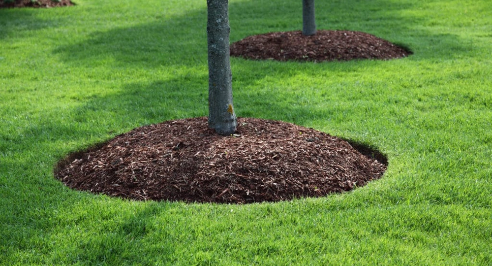 Mulch Installation