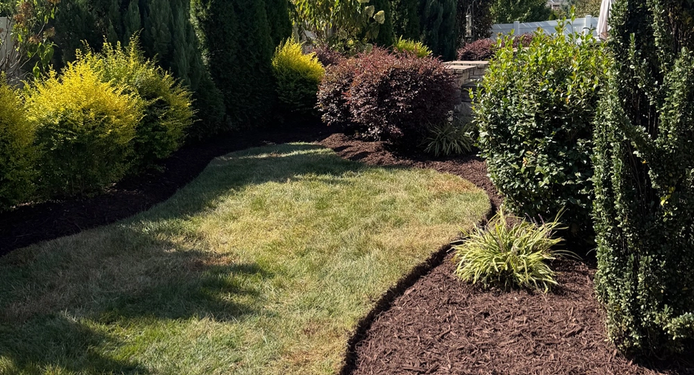 Landscape Maintenance